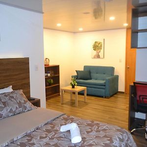 Bog Living Suites